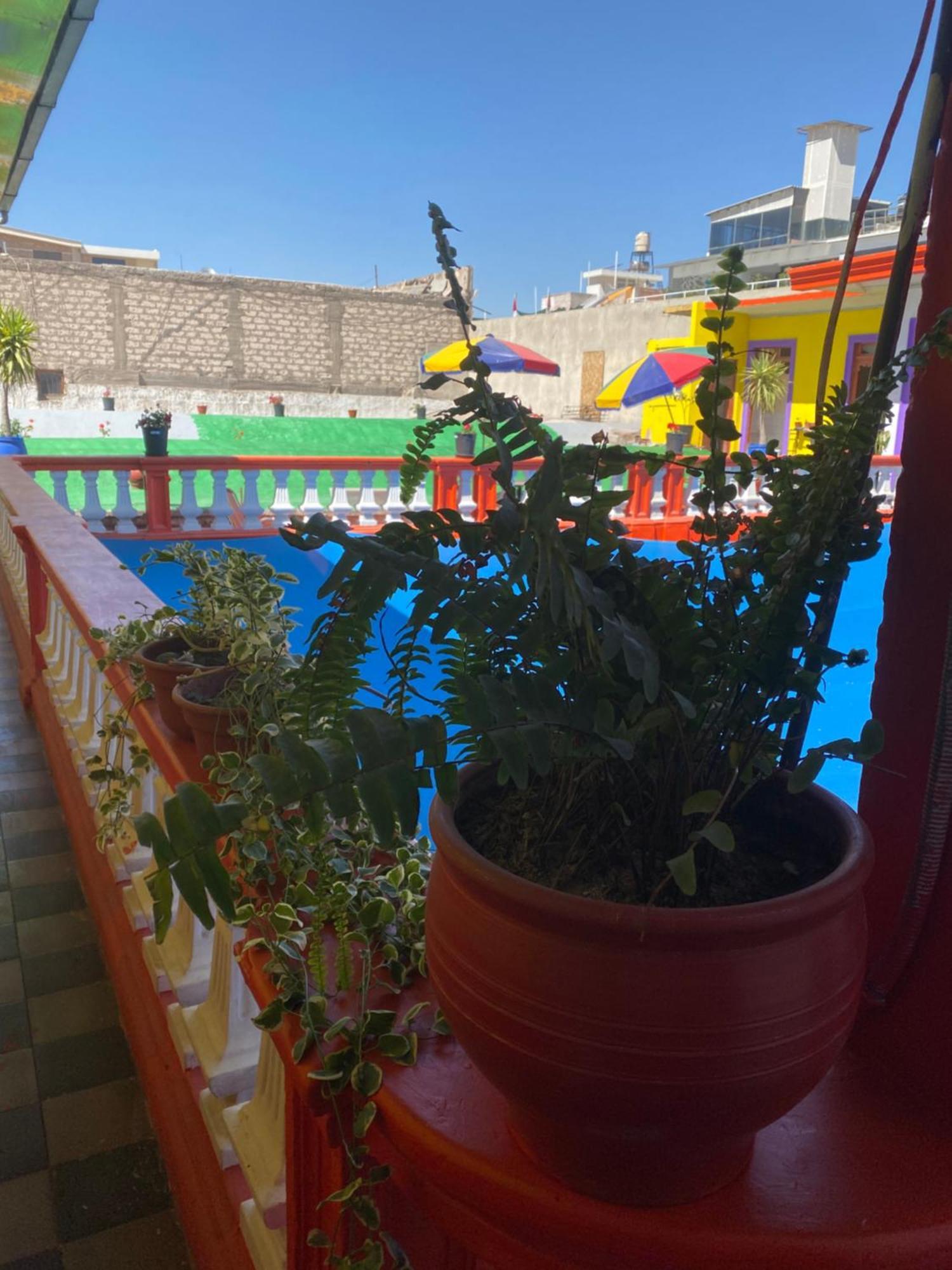 Pusary Hostel Arequipa Eksteriør bilde